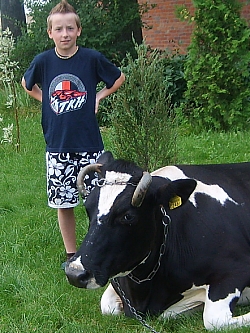 Zdjęcie nr 17